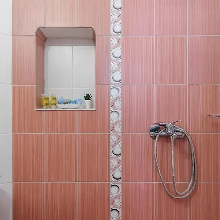 公寓 Aikaterini's House 斯科派洛斯